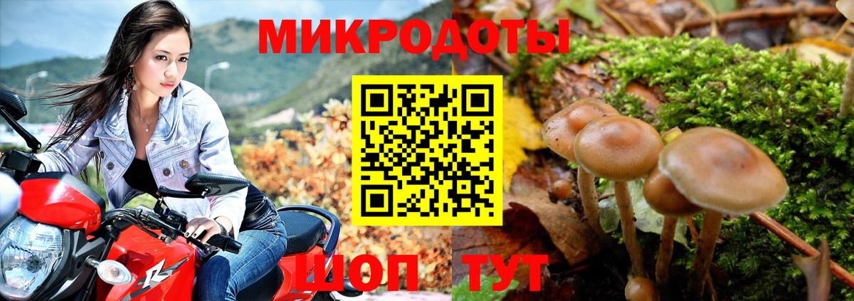 Галлюциногенные грибы GOLDEN TEACHER Кумертау